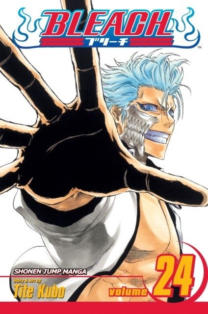 Bleach, Volume 24 | Bleach, Volume 24