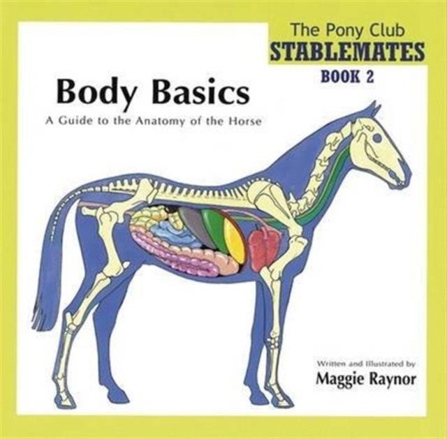 Body Basics - a Guide to the Anatomy of the Horse | Body Basics: A Guide to Horse Anatomy