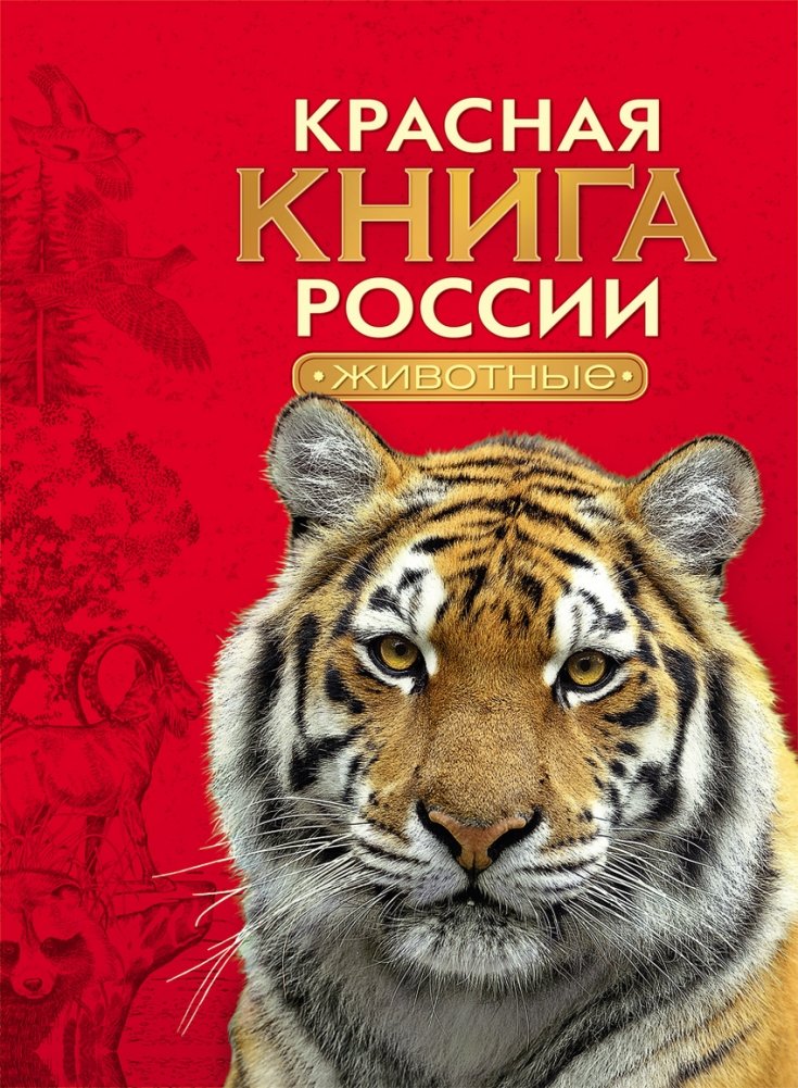 Красная книга России. Животные | Russia's Red Book: Animals