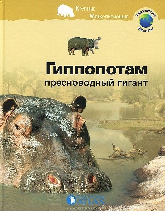 Гиппопотам. Пресноводный гигант | Hippopotamus: Freshwater Giant