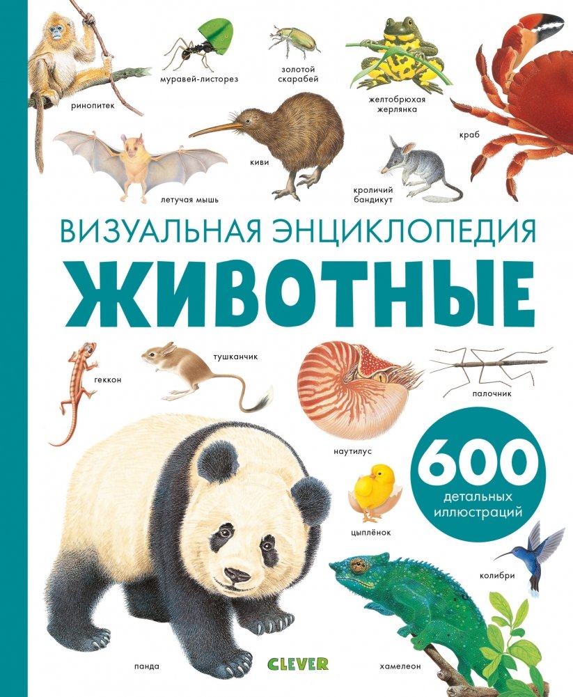 Животные. Визуальная энциклопедия | Animals: A Visual Encyclopedia