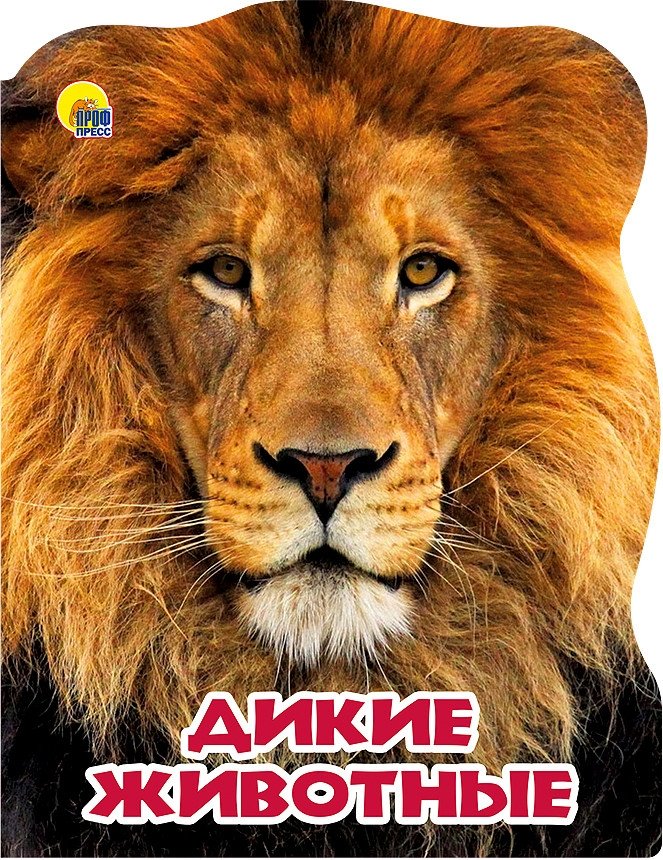 Мир животных. Дикие животные | Animal World: Wild Animals