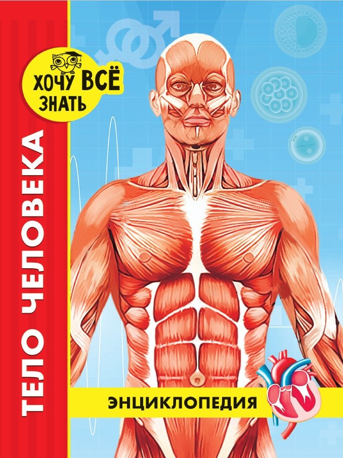 Энциклопедия. Тело человека | Encyclopedia: The Human Body