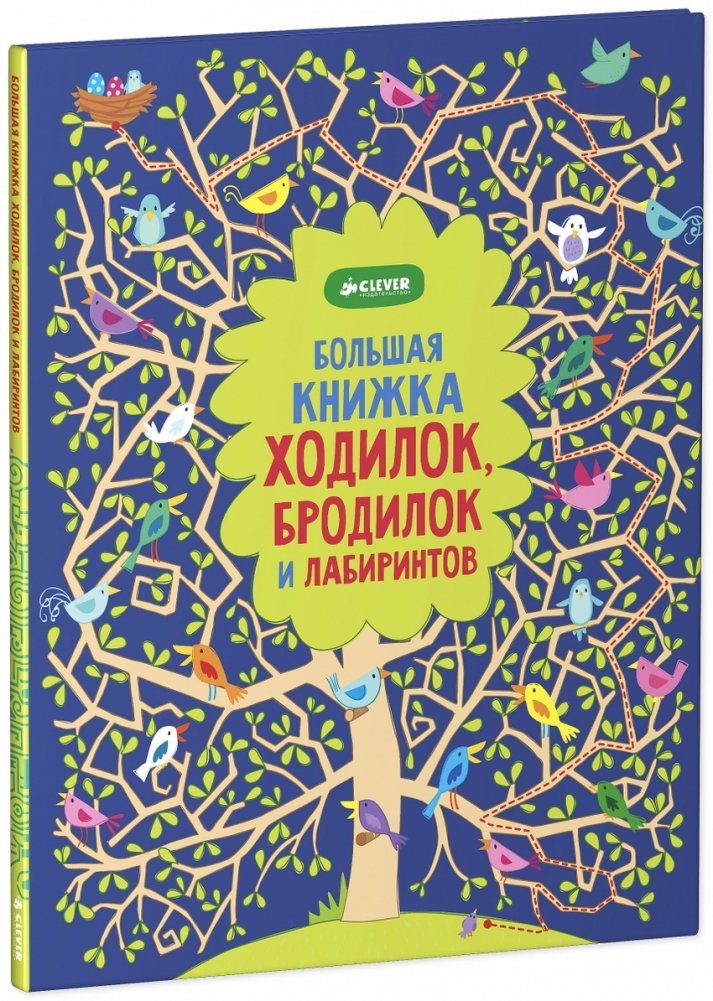 Большая книжка ходилок, бродилок и лабиринтов | Big Book of Mazes, Paths, and Labyrinths