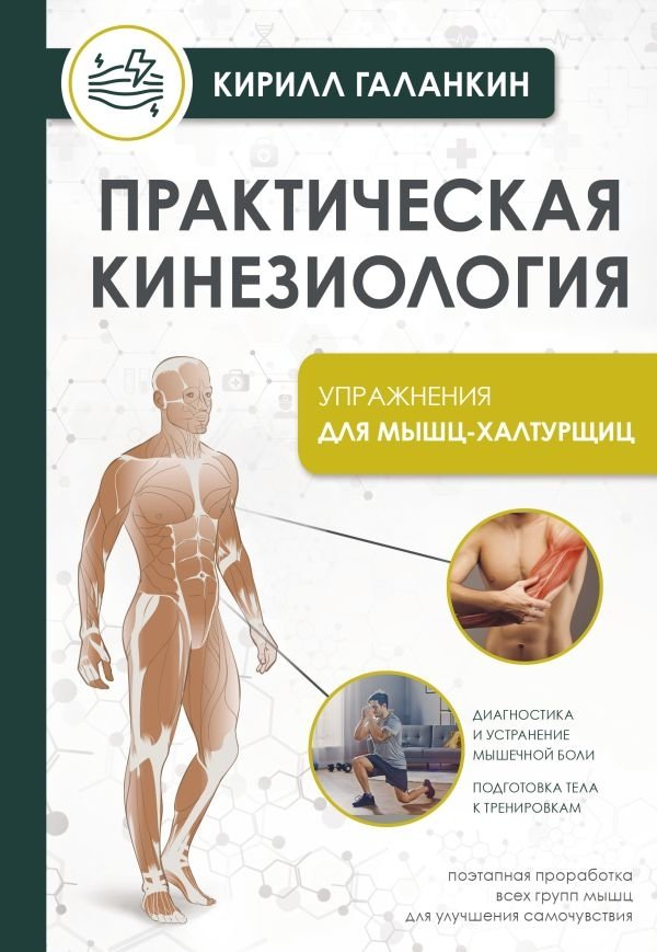 Практическая кинезиология. Упражнения для мышц-халтурщиц | Practical Kinesiology: Exercises for Underperforming Muscles