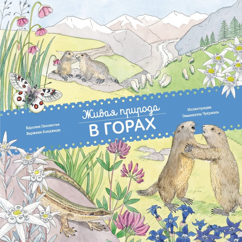 Живая природа. В горах | Wild Nature: In the Mountains