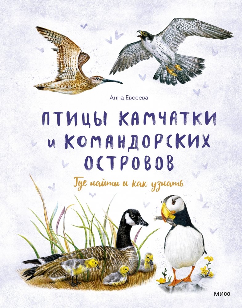 Птицы Камчатки | Birds of Kamchatka