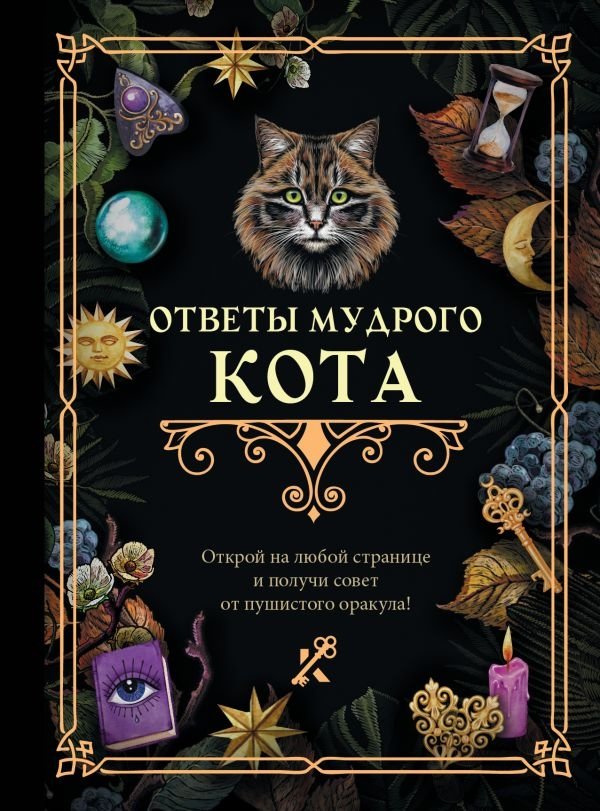 Ответы мудрого кота | Answers of the Wise Cat