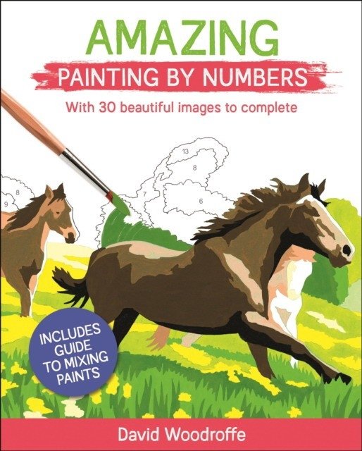 Amazing Painting By Numbers | Amazing Painting By Numbers