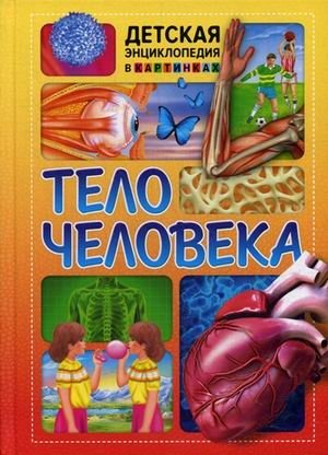 Тело человека | The Human Body