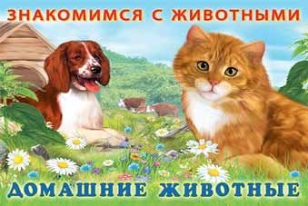 Домашние животные | Pets