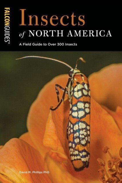 Насекомые Северной Америки: Полевой определитель | Insects of North America: A Field Guide