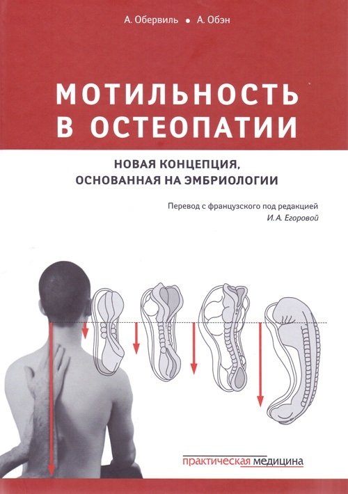 Мотильность в остеопатии. Новая концепция, основанная на эмбриологии | Motility in Osteopathy: A New Concept Based on Embryology