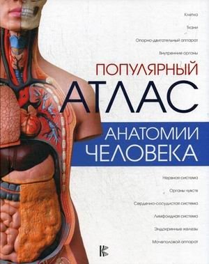 Популярный атлас анатомии человека | Popular Atlas of Human Anatomy