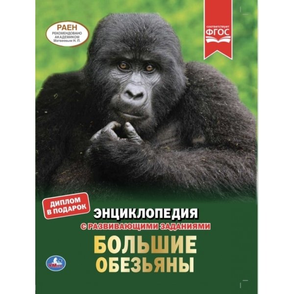 Большие обезьяны | Great Apes
