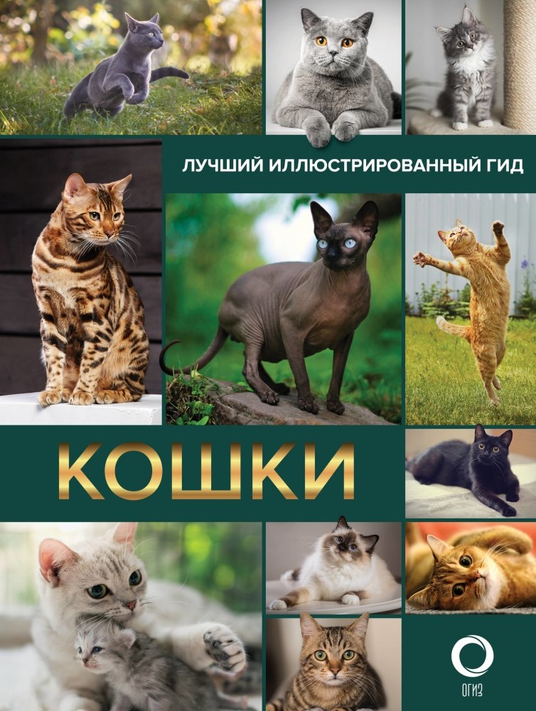 Кошки. Лучший иллюстрированный гид | Cats. The Best Illustrated Guide