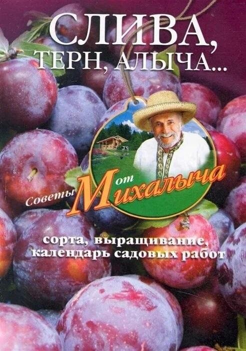 Слива, терн, алыча... Сорта, выращивание, календарь садовых работ | Sliva, tern, alycha... Sorta, vyrashchivanie, kalendar' sadovykh rabot