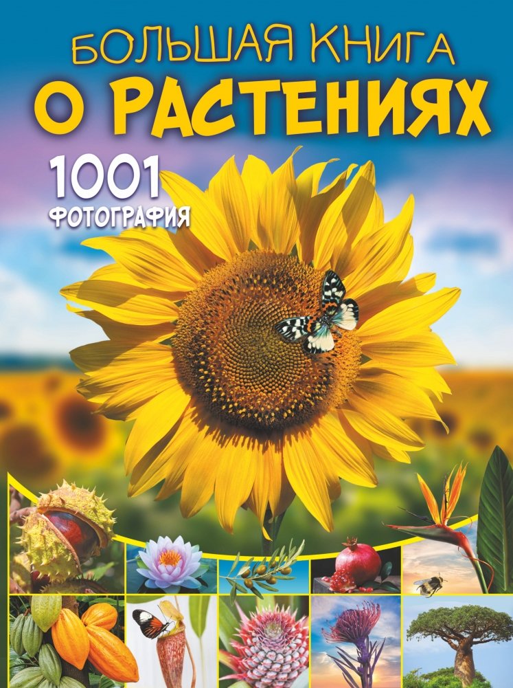 Большая книга о растениях. 1001 фотография | The Big Book of Plants: 1001 Photographs