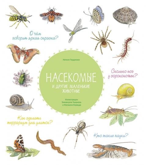 Насекомые и другие маленькие животные | Insects and Other Small Animals