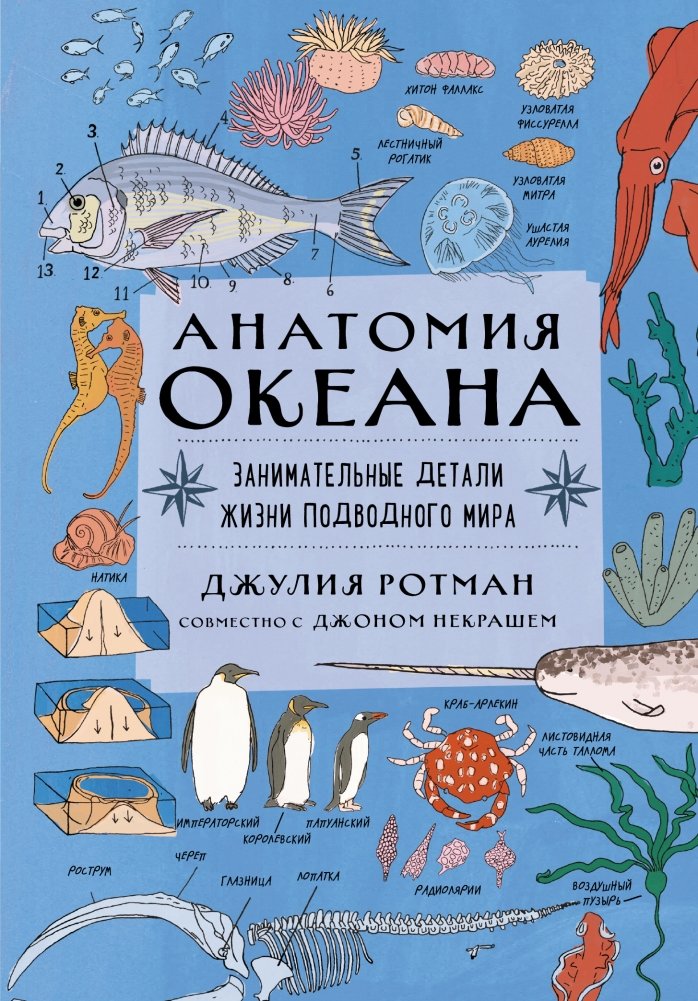 Анатомия океана. Занимательные детали жизни подводного мира | Anatomy of the Ocean: Fascinating Details of Underwater Life