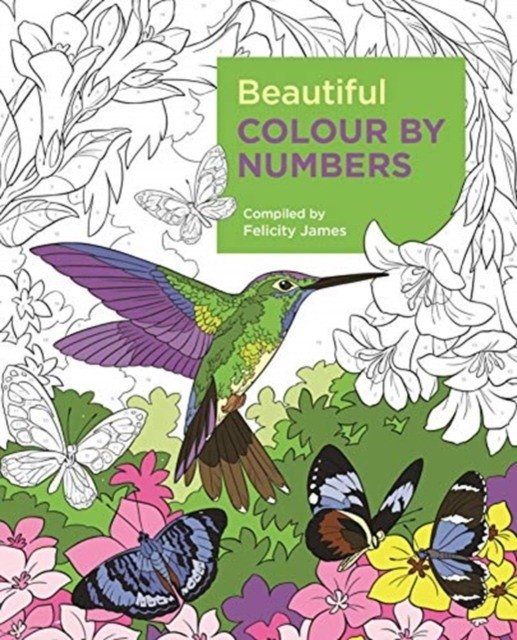 Красивая раскраска по номерам | Beautiful Colour by Numbers