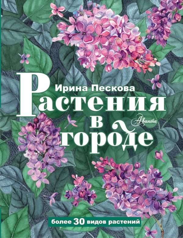 Растения в городе | City Plants