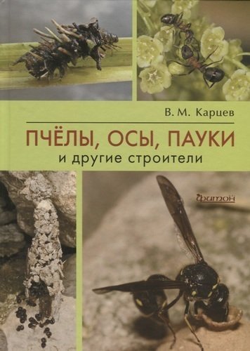 Пчелы, осы, пауки и другие строители | Bees, Wasps, Spiders, and Other Builders