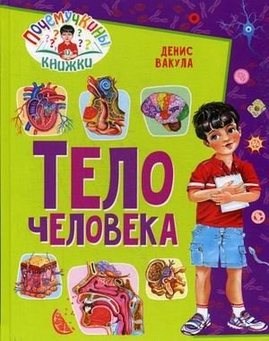Тело человека | The Human Body