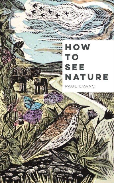 Как видеть природу | How to See Nature