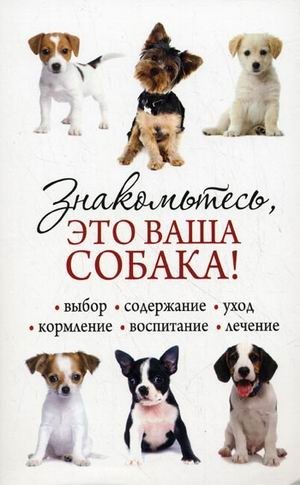 Знакомьтесь, это ваша собака! | Meet Your Dog!