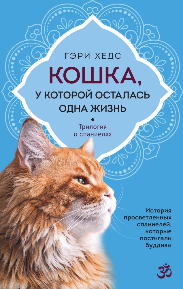 Кошка, у которой осталась одна жизнь | The Cat with One Life Left