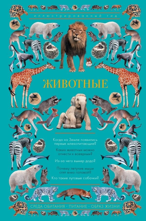 Животные. Иллюстрированный гид | Animals: An Illustrated Guide