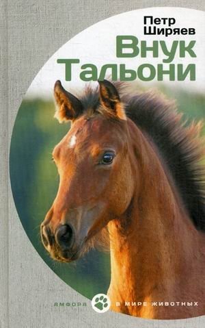 Внук Тальони | Talioni's Grandson