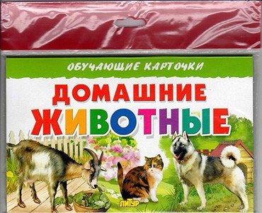 Домашние животные | Domestic Animals