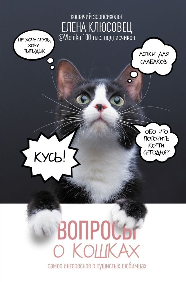 Вопросы о кошках. Самое интересное о пушистых любимцах | Cat Questions: The Most Interesting Facts About Our Furry Friends