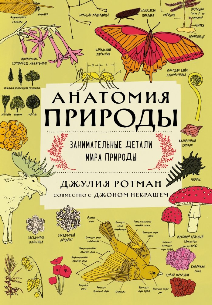 Анатомия природы. Занимательные детали мира природы | Anatomy of Nature: Fascinating Details of the Natural World