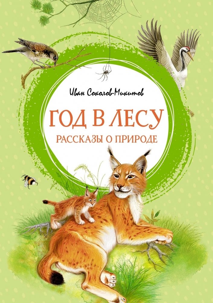 Год в лесу. Рассказы о природе | A Year in the Woods. Stories about Nature