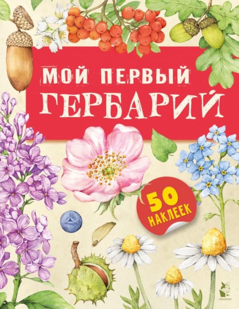 Мой первый гербарий | My First Herbarium