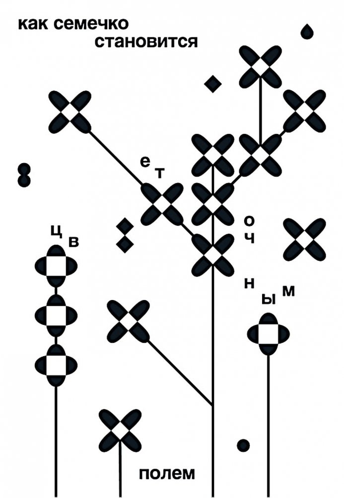 Как семечко становится цветочным полем | How a Seed Becomes a Flower Field