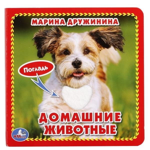 Домашние животные | Pets