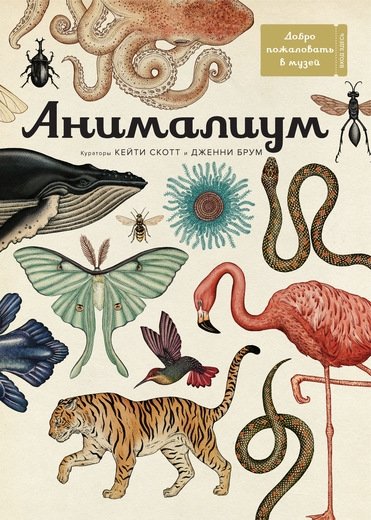 Анималиум | Animalium