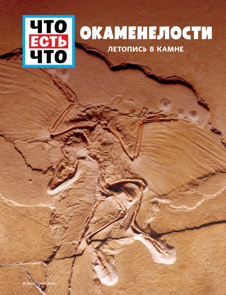 ОКАМЕНЕЛОСТИ. Летопись в камне | Fossils: A Chronicle in Stone