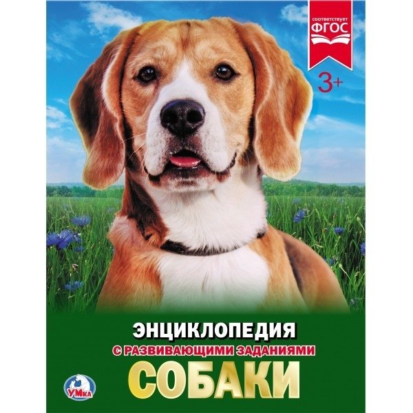 Собаки | Dogs