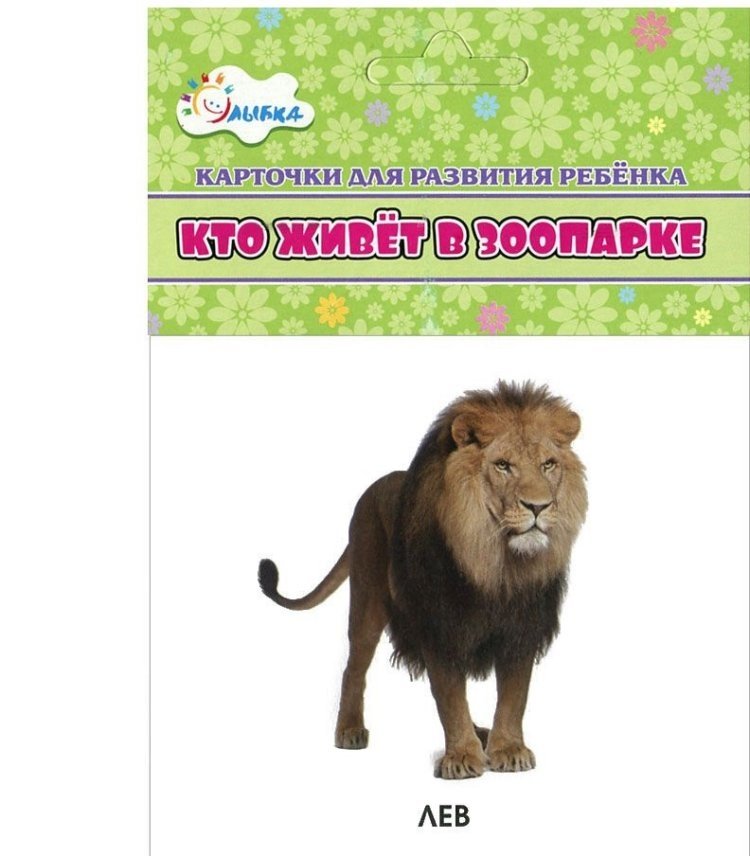 Кто живет в зоопарке (набор из 12 карточек) | Who Lives in the Zoo (Set of 12 Cards)