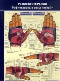 Плакат. Рефлексотерапия. Рефлекторные зоны кистей
