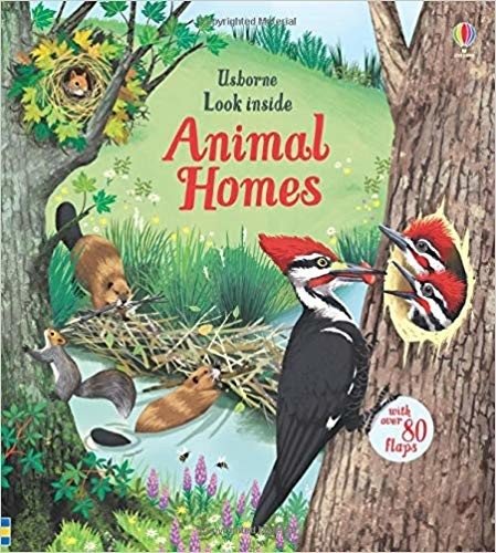 Look Inside Animal Homes. Board Book | Look Inside Animal Homes