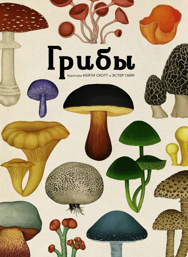 Грибы | Mushrooms