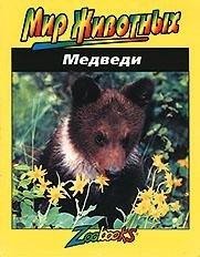 Медведи | Bears