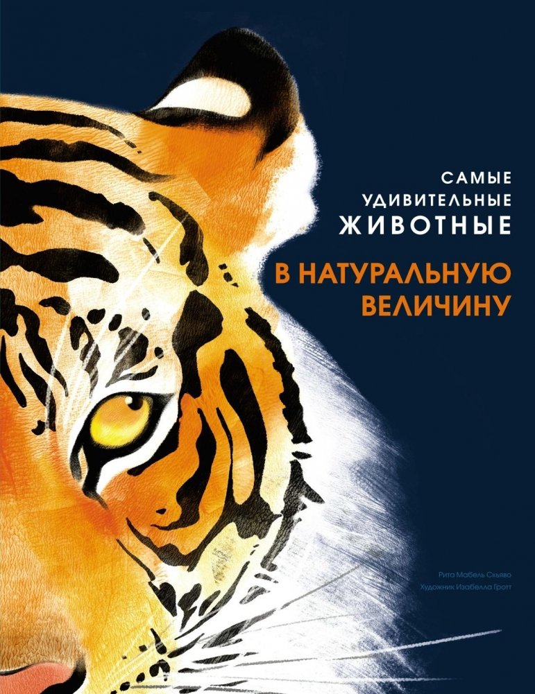Самые удивительные животные в натуральную величину | The Most Amazing Animals in Natural Size