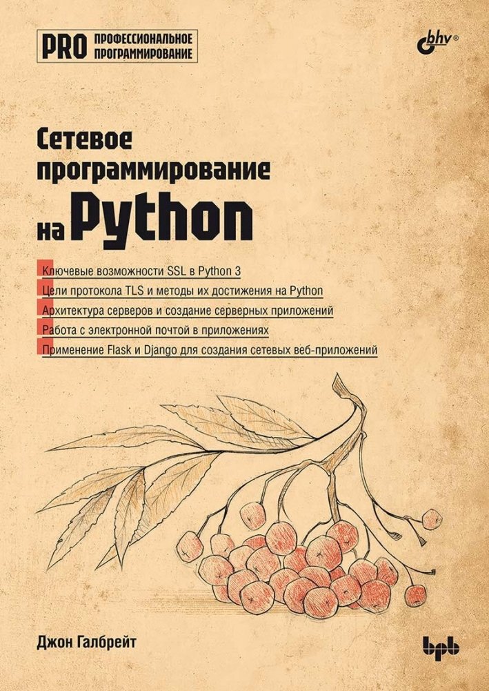 Сетевое программирование на Python | Network Programming in Python
